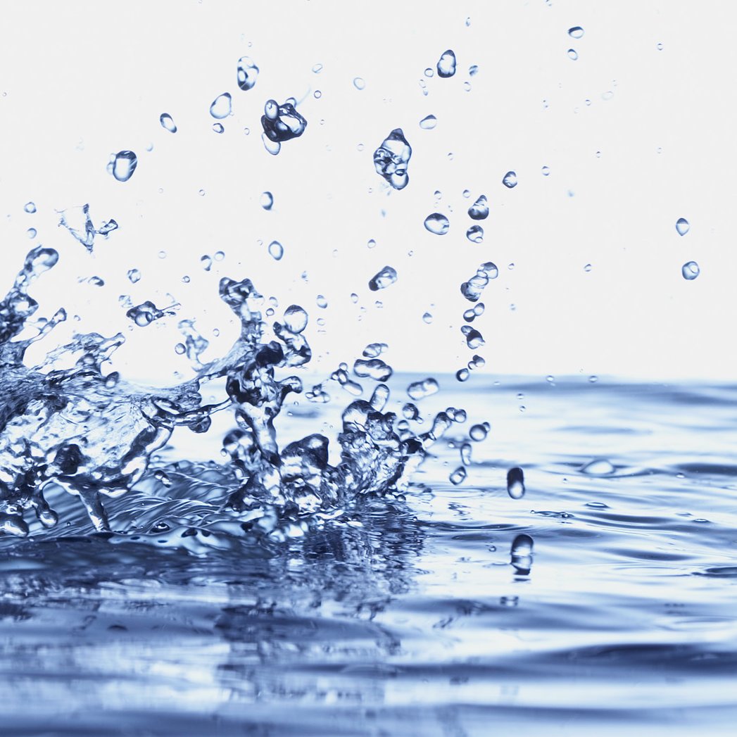 erqoter's profile picture. フォロバOK #followme #followback