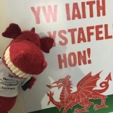 Physiotherapy Mascot ffisiotherapi @CardiffUPhysio. Loves everything Physiotherapy in wales ❤️ Caru popeth ynglyn a ffisiotherapi yng Nghymru 🏴󠁧󠁢󠁷󠁬󠁳󠁿