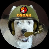 Oscardawestie 😀(@oscardawestie) 's Twitter Profile Photo