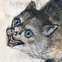 Aaron Angell (@aaronangell1) 's Twitter Profile