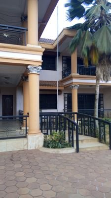 jallohboss's profile picture. 