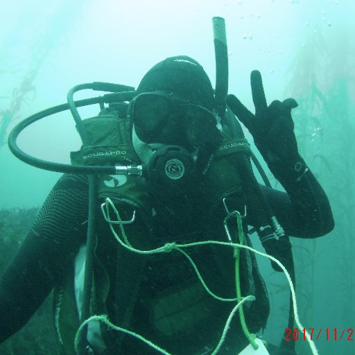 Oceans, the great strangers.  Discover them before they become plastic oceans. Experiences and curiosities all here!  Spanish and English version