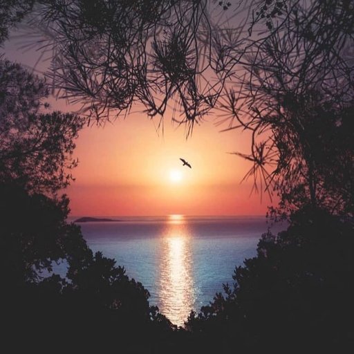 julia8a_68's profile picture. Lic. Administracion, casada...y con una bendicion q Dios me regalo y  es mi inspiracion...mi bb..