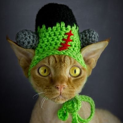 CdnZmbiRytr's profile picture. Author | Editor | Lover of Horror, Zombies, and Chocolate