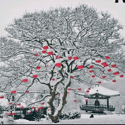 AVTWCX83Gz5rpU4's profile picture. 마음을찍는 진사