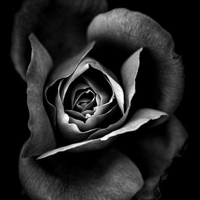 CieloZesa's profile picture. 