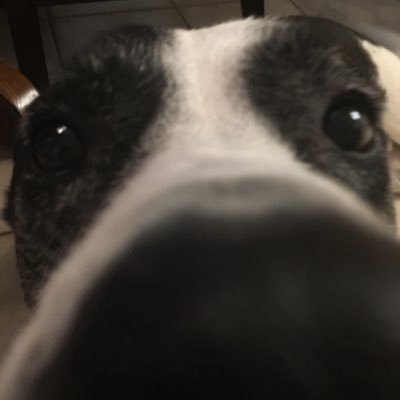 brackard1's profile picture. 