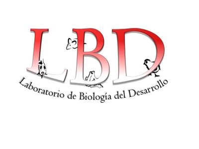 Laboratorio de Biología del Desarrollo - INTECh