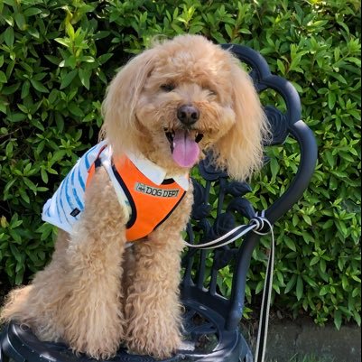 NB2LDAT3RVtv0Lu's profile picture. ゴルフ大好き人間。