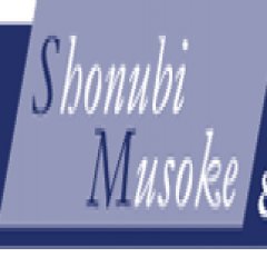 Shonubi, Musoke & Co