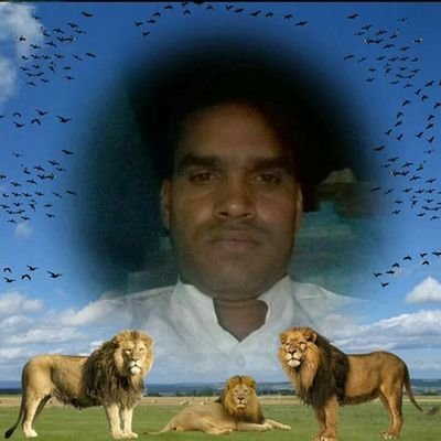 gpOmbRXgSryGQ1t's profile picture. 