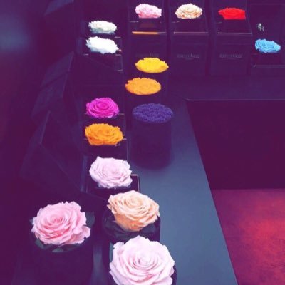 ! ✗ وعلىَ بآبِ الأمَل سَنگونُ صآبرين مَہمآ گآنتِ الظُروف .. ♩❋ ''