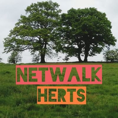 netwalkherts's profile picture. Walking and talking to reduce health inequalities. Wendy Tooke