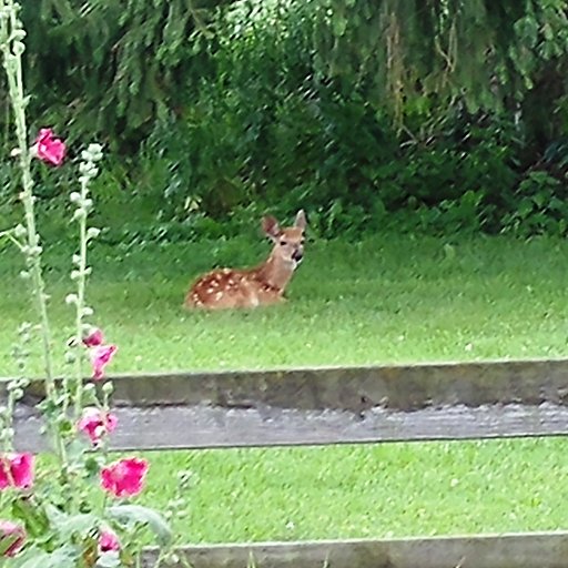 lsanford's profile picture. We are not permitted to choose the frame of our destiny. But what we put into it is ours.  (Dag Hammarskjold) 
Veteran HS SS tchr, principal, mentor.