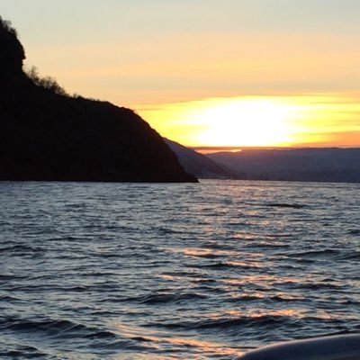 SwartSwaan's profile picture. Interested in high altitude vapour, security, life