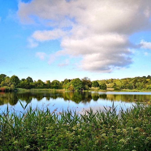 Ashburnham Place