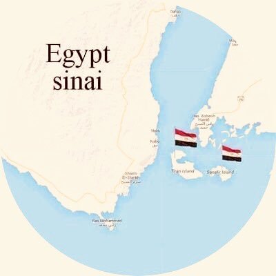 n_elkharboutli's profile picture. 