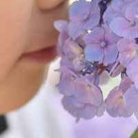 NHS (@nhs12759612) 's Twitter Profile