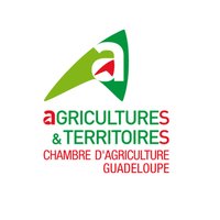 Chambre d'agriculture de la Guadeloupe (@cda971) 's Twitter Profile