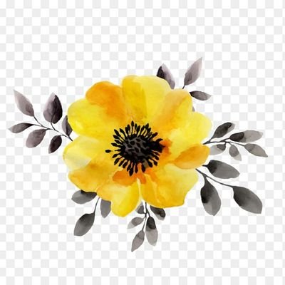 themxrningsxn's profile picture. 💛