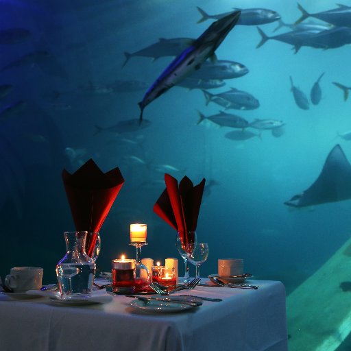 nma_events's profile picture. We offer a first-class venue, catering for everything from corporate events, private parties and weddings to children’s parties, sleepovers and day delegates.