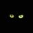 HARMANDOCASTRO's profile image