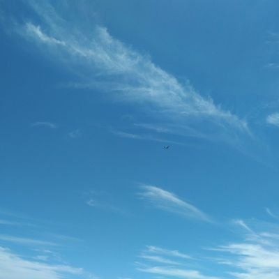 Yang201001's profile picture. I hope I---Have the courage to follow your heart and intuition, for they somehow already know what you truly want to become - Steve Jobs