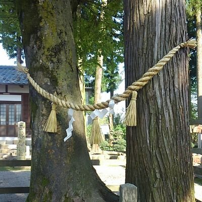 大阪に住んでます。よろしくお願いいたします。仮面ライダーや旧ジャニーズやV系が大好きです。後はゆるキャラ、ちいかわ、モフサンドが大好きです✨