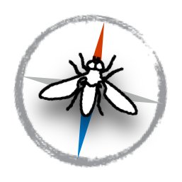 Tweets from researchers at the Genetics of Migration lab at @UoExeterCEC #insectmigration #yestheymigrate #fieldpyrenees #GenMigExe