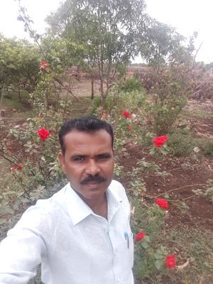 DR8201's profile picture. 