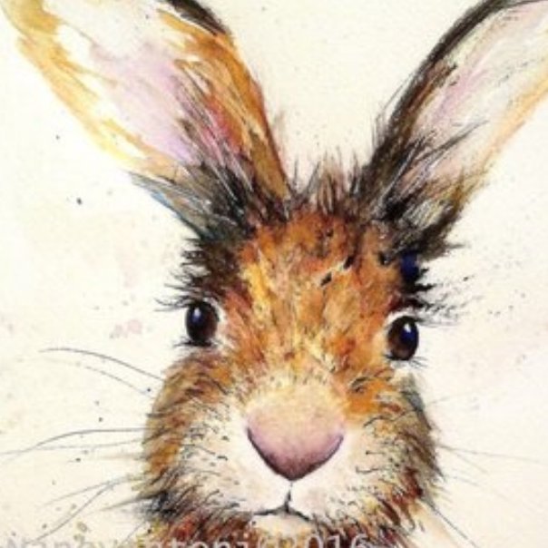 hare_house's profile picture. 