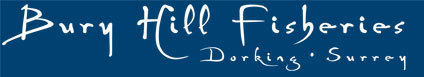 Carp, Coarse & Predator fishing lakes in Surrey.