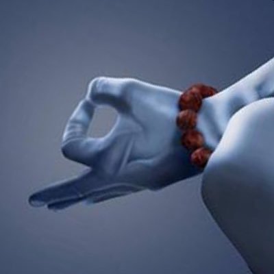 NBhavsar2's profile picture. 