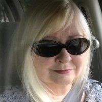 Diana Wise (@wisegoglobal) 's Twitter Profile