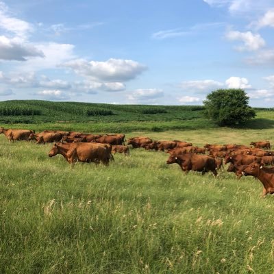BeauKlug's profile picture. dad, husband, cattle feeder, farmer, part time truck driver. Proud to farm in the Good Life with my family.