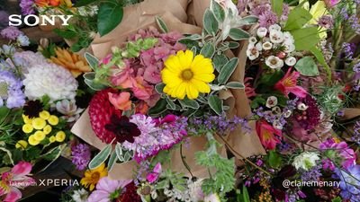 ZozosvDzj1WOwcC's profile picture. パチンコ パチスロの垢作りました！
打った台や収支なんかを呟いていきます！！