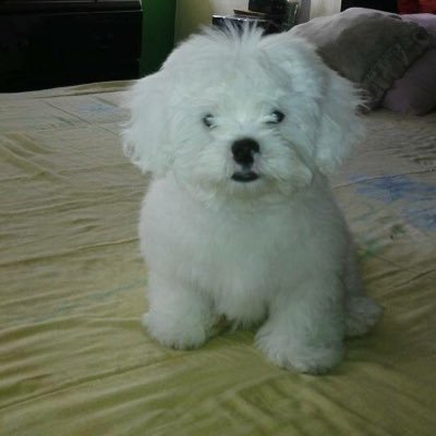 ivettenufio's profile picture. DIOS tiene el Control