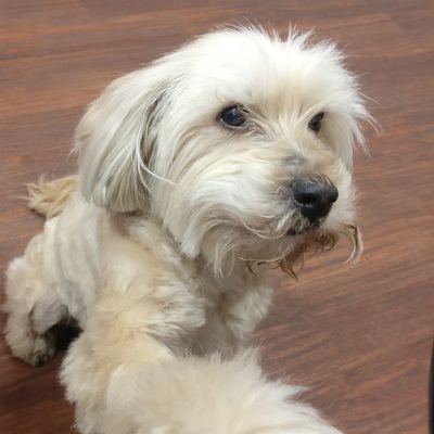 Lara_Arin's profile picture. 