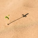 Frank Scanlon - @FrankScanlon10 - Twitter