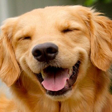 emontene1's profile picture. 