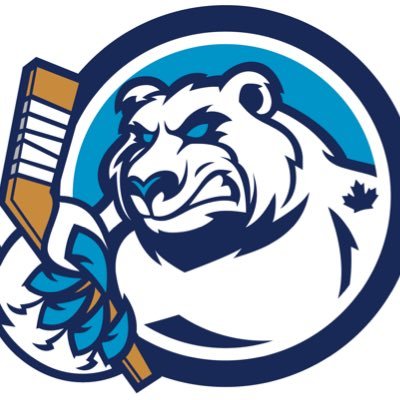 WinnipegIceAAA Profile Picture