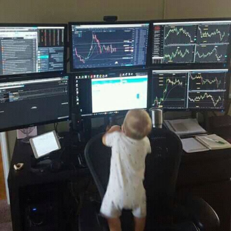 ForexHurricane's profile picture. https://t.co/x5Ctfhg3oy