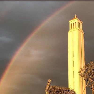 1993gasch's profile picture. Albinegro