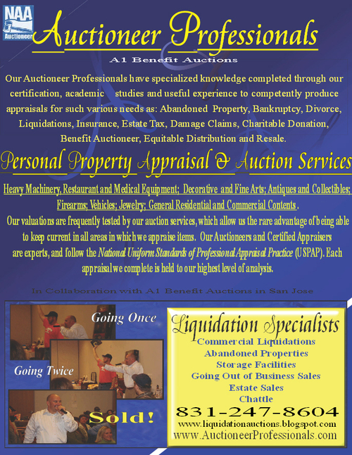 Auctioneer Professional