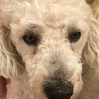 JACOB51628036's profile picture. 😎