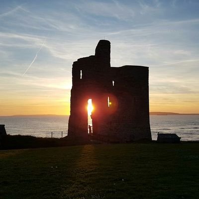 luispereiro3's profile picture. Consilio et Animis