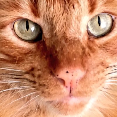 HernandeGerman's profile picture. Todo en su debido momento ni antes ni después 🤘🏼😎👍🏼