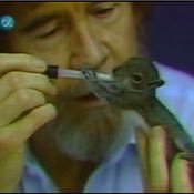 hightho66899489's profile picture. 