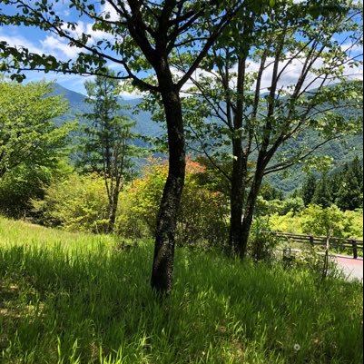 D5M641CnB05ZVat's profile picture. 趣味は自然とスピリチュアルです。日本は神の国。自然の中にこそ神がいらっしゃる。小さい頃から体が弱くてピアノとバレエは命の恩人です。 地球から動物の工場畜産をなくすことが私の目標です！人間は雑穀ご飯、塩、野菜、海藻、発酵食、日光浴で長生き出来ます！食物連鎖の元は植物プランクトンの光合成。書籍ご参考方