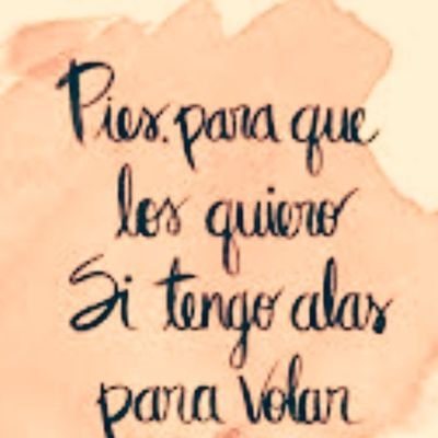 cameigeiras's profile picture. 